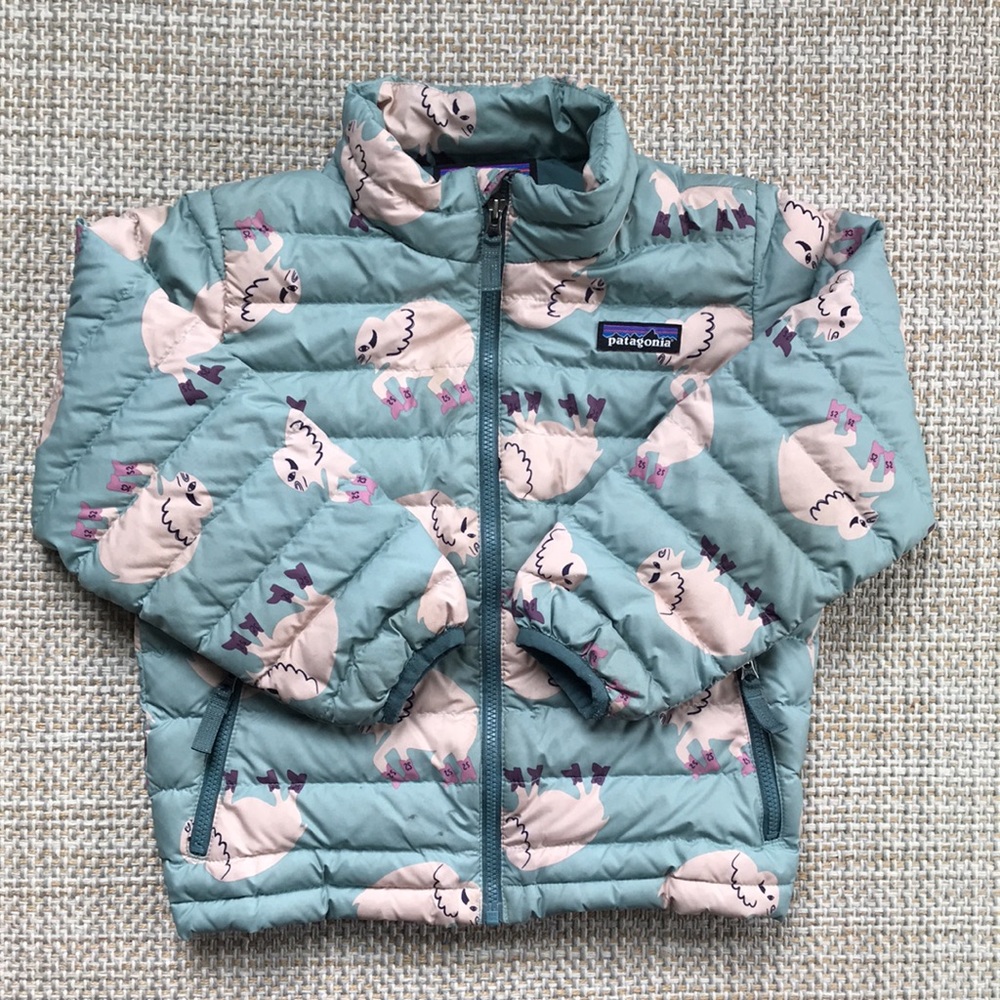 Patagonia Puffer Jacket (size 4T)
